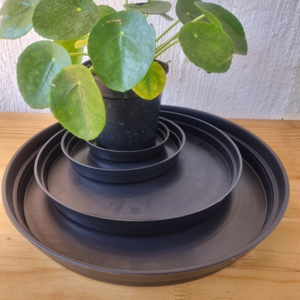 Drip tray (Black plastic)
